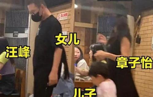 刘大锤直播间爆料汪峰视频,汪峰神秘视频幕后真相